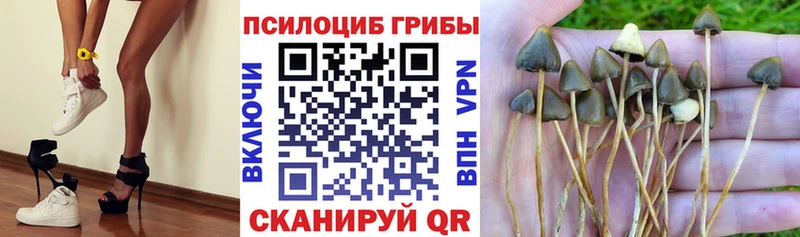 Галлюциногенные грибы мухоморы  продажа наркотиков  Камешково 